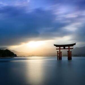 japan, torii gate, temple