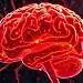Emotionale Intelligenz, Empathie, Psychologie, Bewusstsein, Soziologie, Medizin