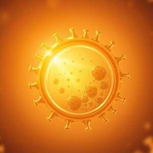 Exosome, Definition, Aufgaben, Wirkungsweise, Anwendungen, Therapien