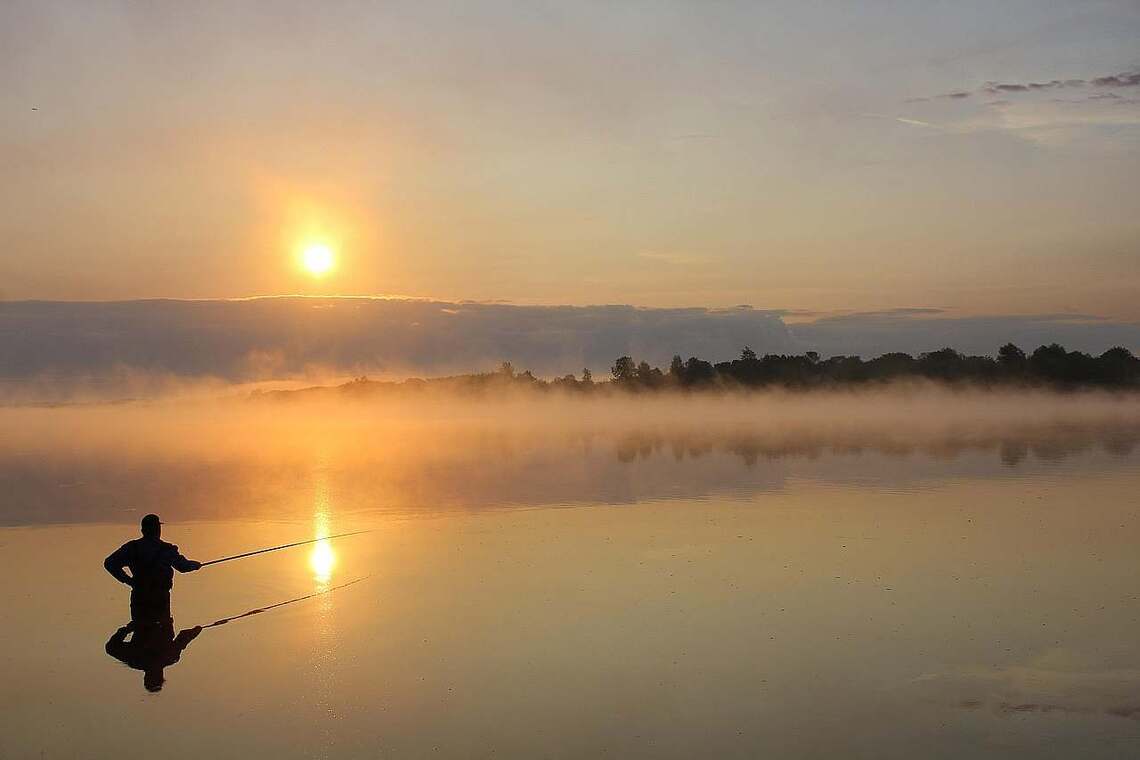 Licht Leben
