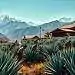 A large, traditional agave farm nestled in a lush, mountainous landscape. In the foreground, workers carefully harvest the spiky, blue-green agave plants, their weathered hands expertly cutting the thick leaves. In the middle ground, a rustic, wooden structure houses the agave syrup production facility, with steam gently rising from its chimneys. The background features towering, snow-capped peaks and a vibrant, azure sky, creating a sense of scale and grandeur. The scene is bathed in warm, golden sunlight, casting long shadows and highlighting the intricate textures of the agave leaves and the workers' garments. The overall mood is one of traditional, artisanal production in harmony with the natural environment.