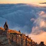 Reise zu unserem wahren Selbst