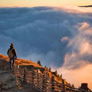Reise zu unserem wahren Selbst