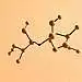 NAC, Antioxidans, Mukolytikum, Atemwegserkrankungen, Lungenfunktion, Entgiftung