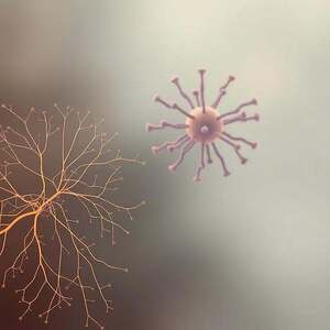Psychoneuroimmunologie, Psychologie, Neurowissenschaften, Immunologie, Medizin