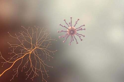 Psychoneuroimmunologie, Psychologie, Neurowissenschaften, Immunologie, Medizin