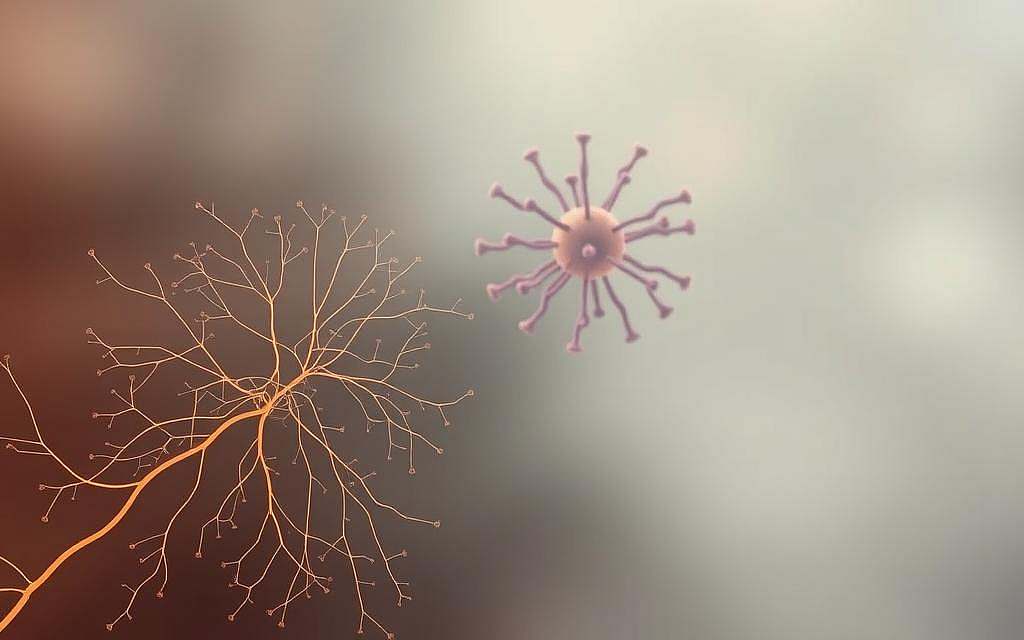 Psychoneuroimmunologie, Psychologie, Neurowissenschaften, Immunologie, Medizin