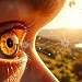 Augen, Sehen, Funktionen, Sehfähigkeit, Krankheiten, Heilmethoden, Heilmittel