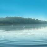 A serene, ethereal landscape depicting the intricate connection between water and consciousness. In the foreground, a tranquil pond reflects the sky above, its surface rippling with a subtle, hypnotic pattern. Floating amidst the water, glowing orbs of energy represent the conscious awareness that permeates the element. In the middle ground, a lush, verdant forest frames the scene, suggesting the natural harmony between water, life, and the unseen forces of the mind. The background is a soft, dreamlike gradient of blues and greens, evoking a sense of transcendent, holistic understanding. The lighting is soft and diffused, creating a sense of warmth and mysticism. The overall composition and atmosphere invite the viewer to contemplate the profound interconnectedness of water, health, and the depths of human consciousness.