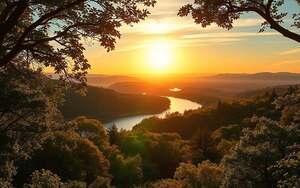 A serene landscape bathed in the warm glow of a setting sun, showcasing the intricate tapestry of nature. In the foreground, a lush forest canopy with vibrant foliage, hinting at the underlying patterns and organization that govern the natural world. The middle ground reveals a gently winding river, its smooth surface reflecting the heavens above, suggesting a sense of balance and harmony. In the distance, rolling hills and mountains rise, their majestic silhouettes evoking a sense of purposeful design. The entire scene is imbued with a sense of tranquility and awe, inviting the viewer to contemplate the profound implications of teleology and intentionality in the natural order.