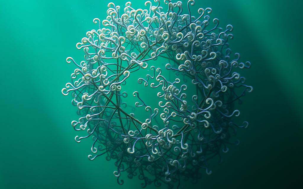 Spirulina, Immunstärkung, Entgiftung, Vitalität, Allergien, Herz-Kreislauf