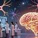 Neuroplastizität, synaptische Plastizität, neuronale Netzwerke, Hirnforschung